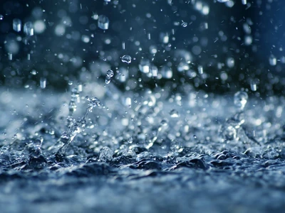 DEKAN Plastik s.r.o.